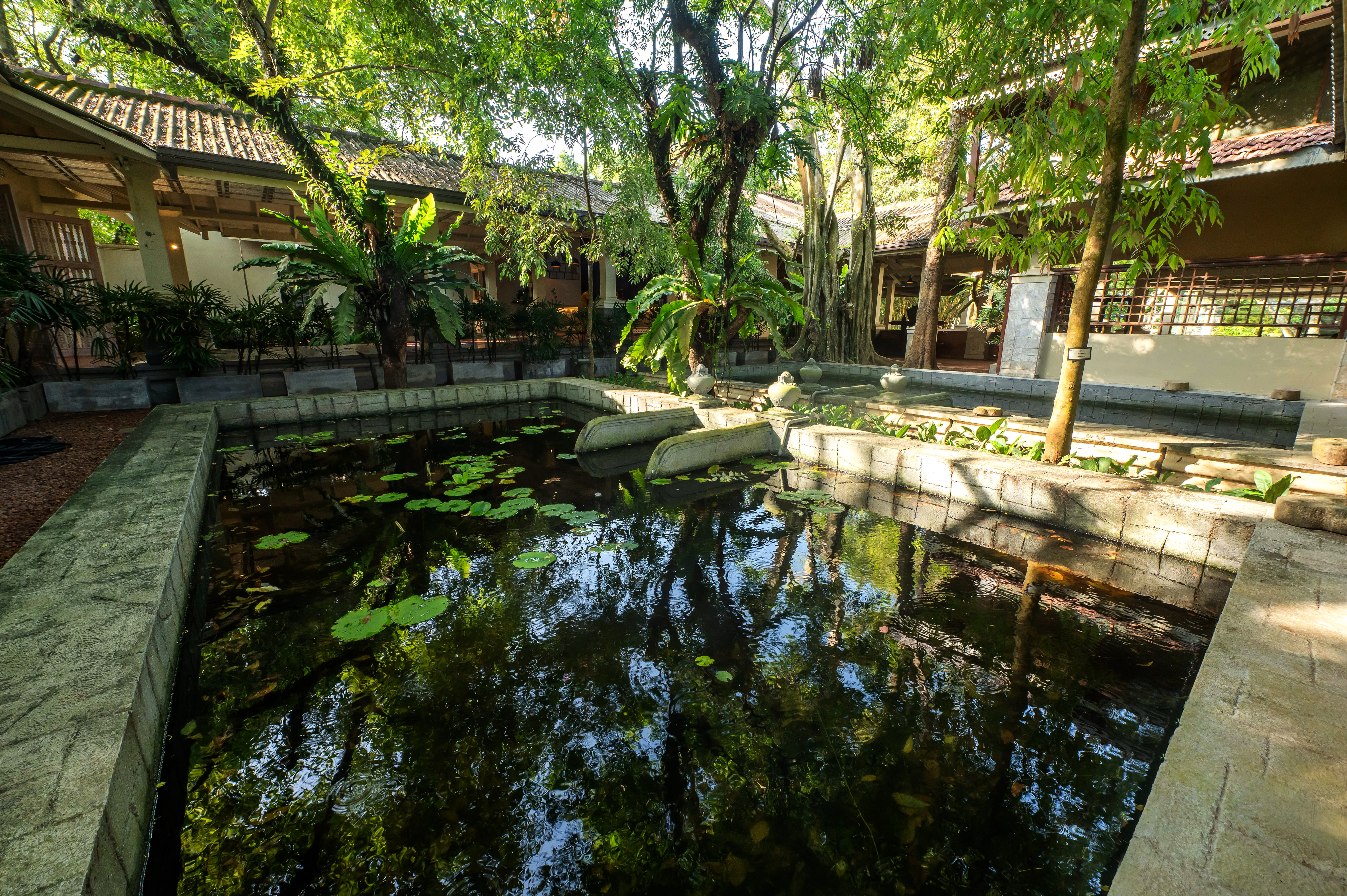 Siddhalepa Ayurveda Health Resort